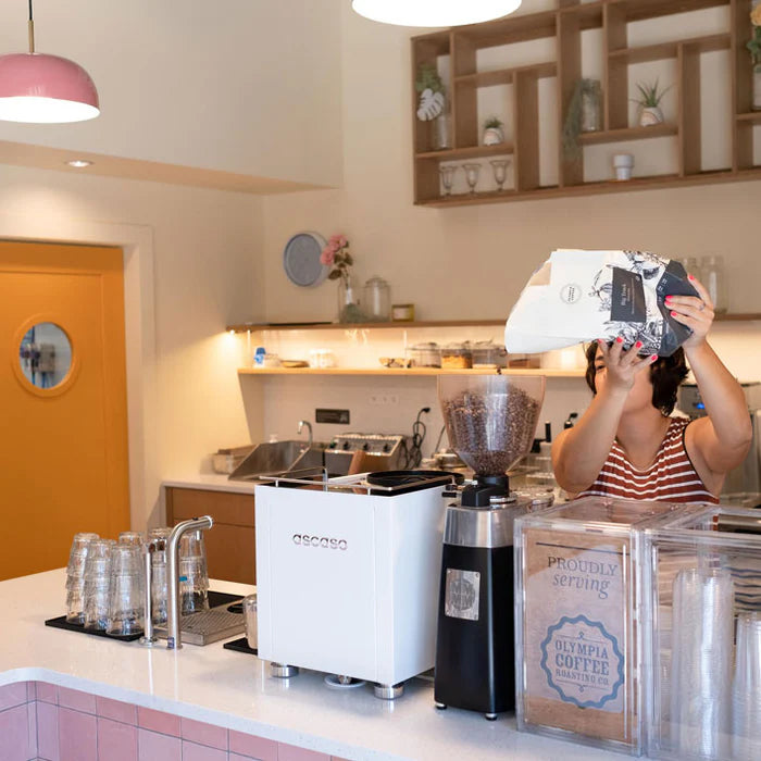 Ascaso Baby T Plus 1 Group